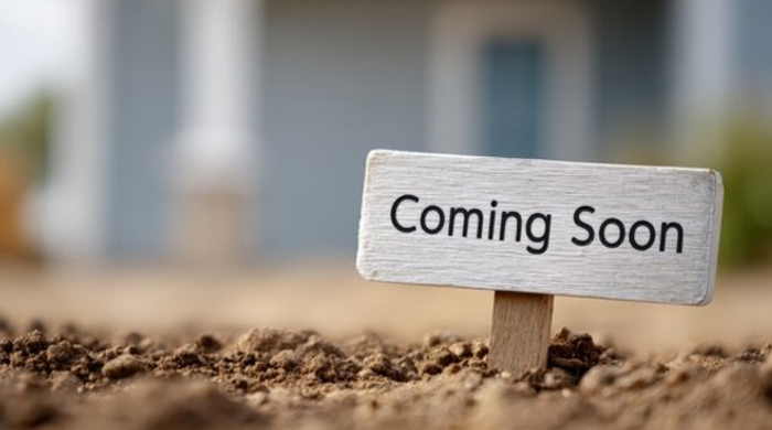 altensteig villa header